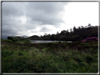 foto Penisola di Dingle